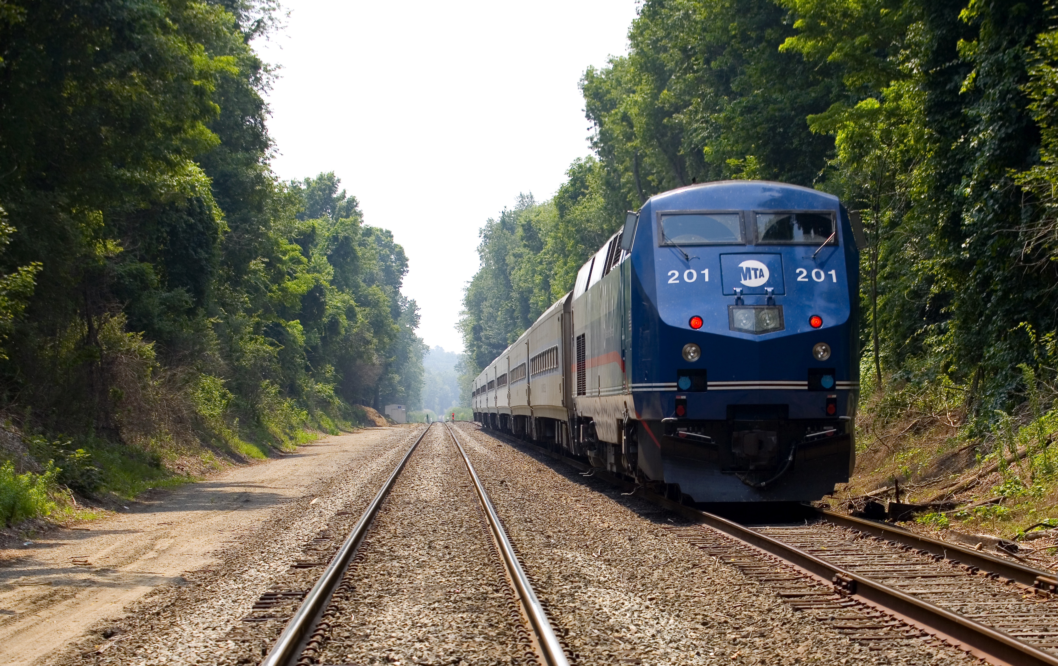 Metro-North train passing through forested route